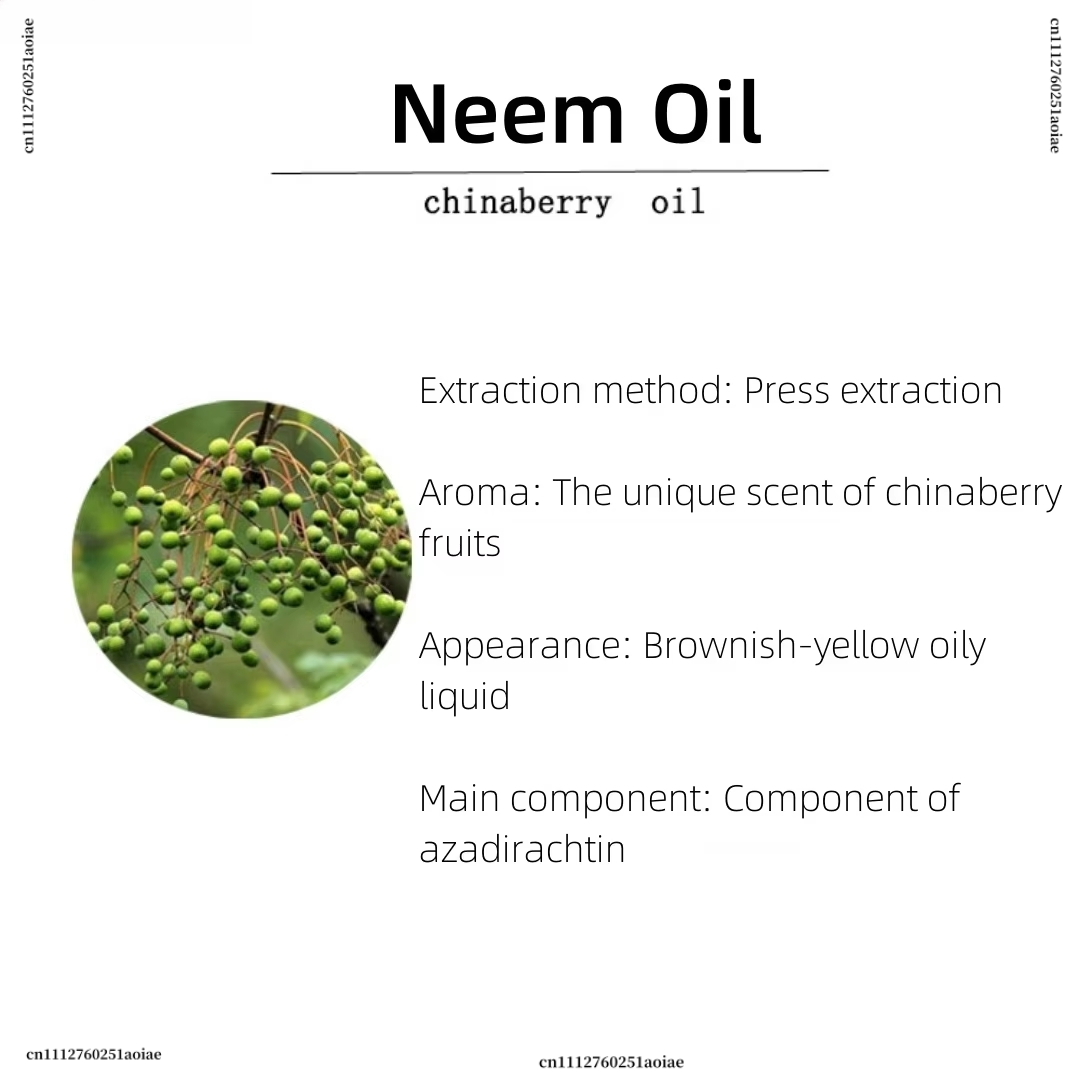 Biologische Neemolie - Spiritu - Home Fragrance Organic recensie en prijs